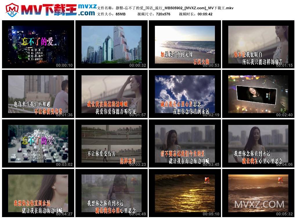 静默-忘不了的爱_国语_流行_MB505902